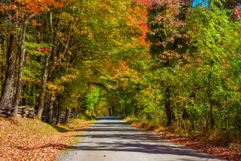 Country road in the Fall Stock Photos