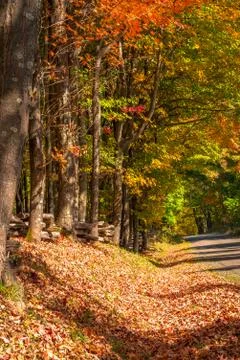Country road in the Fall Stock Photos