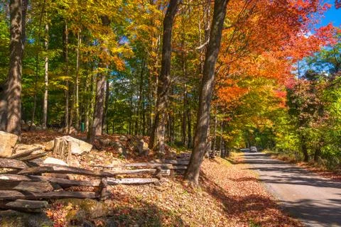 Country road in the Fall Stock Photos