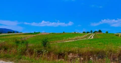 Country road fields background the blue Stock-Fotos