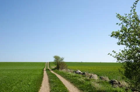 Country road at the fields Stock Photos