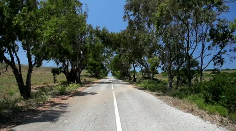 Country road   Видео 771760