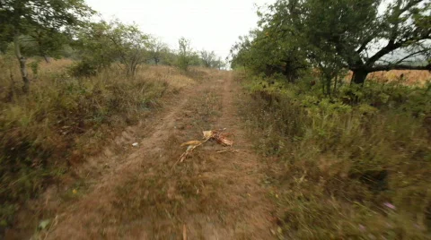 Country Road Video stock 830353