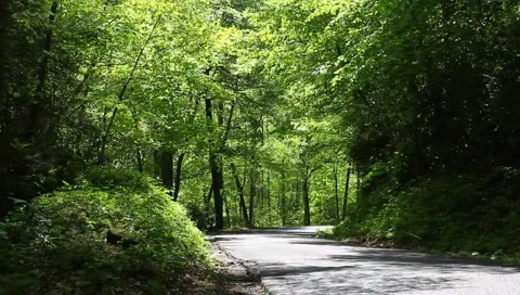 Country road Stock Footage 4964876