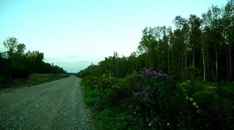 Country road Stock Footage 8693609