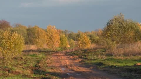 Country road Vídeo Stock 12269760