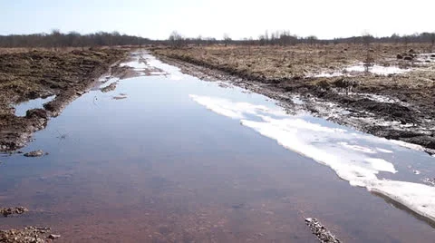 Country road Stock-Footage 22706751
