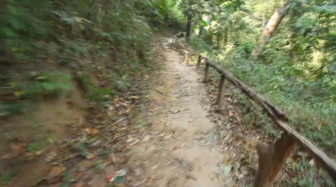 Country road Stock Footage 35764663