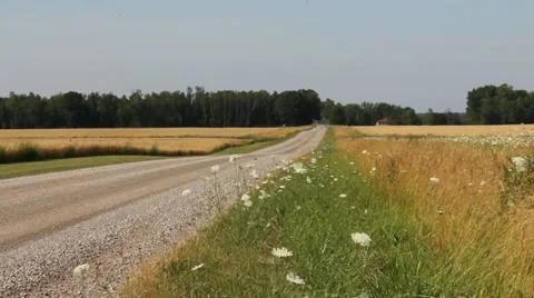 COUNTRY ROAD Stock Footage 36538991