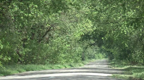 Country road Stock Footage 39200427