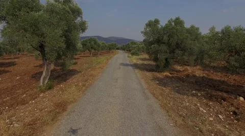 Country Road. Stock Footage 53258311
