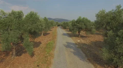 Country Road. Stock Footage 61114953