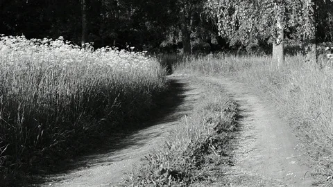 Country road Stock Footage 110837016