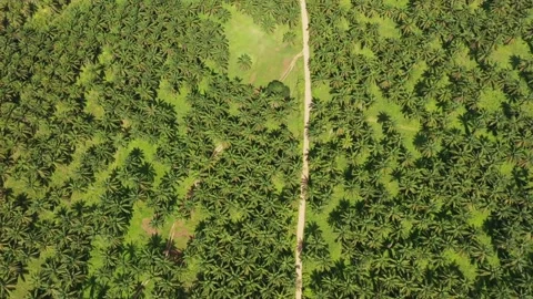 Country road Stock Footage 133328697