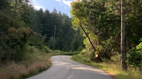 Country road Stock Footage 146994067