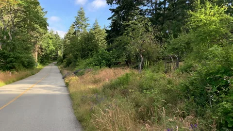 Country road Stock Footage 146994225