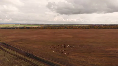 Country road Stock Footage 147039583
