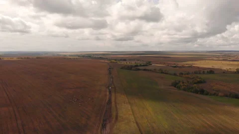 Country road Stock Footage 147039948