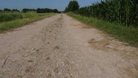 Country road Stockbeeldmateriaal 167732536