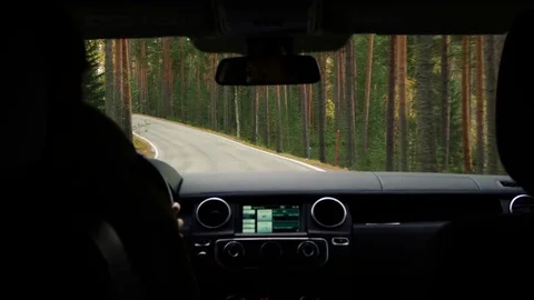 Country road in the forest Stockbeeldmateriaal 69832190