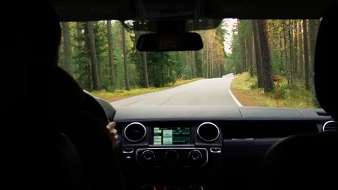 Country road in the forest 库存影片 69832462