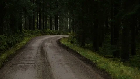 Country road in the forest Stock Footage 69856154