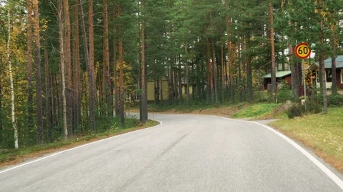 Country road in the forest Video stock 69859812