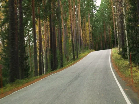 Country road in the forest Видео 69859828