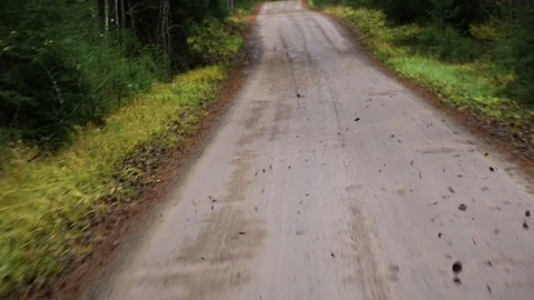 Country road in the forest Stock Footage 69859879