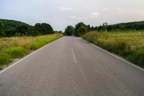 The country road going up through the fields and forest Foto stock