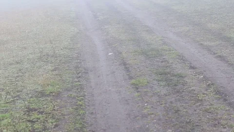 Country road in mist Stock Footage 82012150