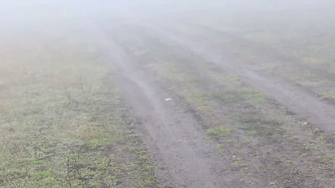 Country road in mist Stock Footage 82012176