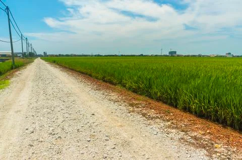 Country road Stock Photos