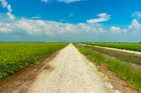 Country road Stock Photos