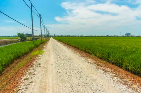 Country road Stock Photos