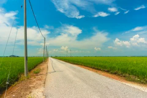 Country road Stock Photos