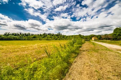 Country road Stock Photos
