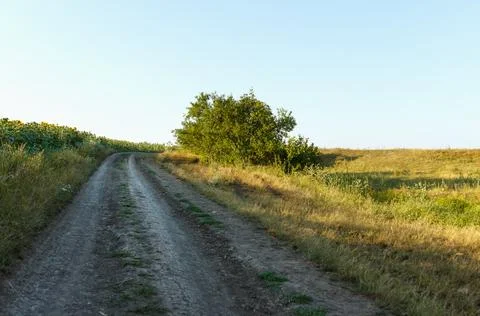 Country road running between fields, on one side by a sunflower field and h.. Stock Photos