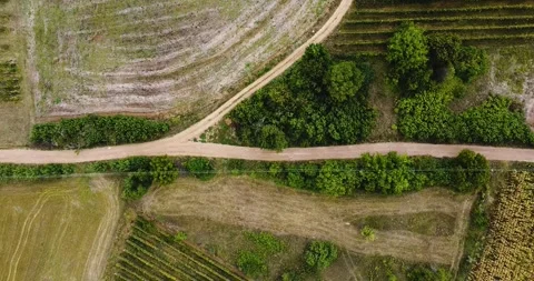 Country road surrounded by fields Stock Footage 248257429