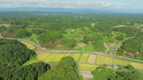 Country Road Surrounded With Lush Vegetation And Vibrant Rice Fields In Japan - Stock Footage 336986068