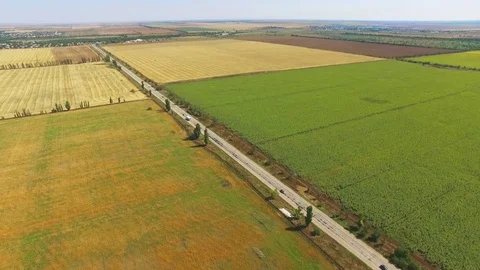 Country road through fields, aerial video Stock Footage