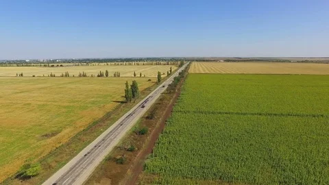 Country road through fields, aerial video Stock Footage 80652077