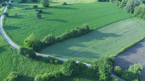 Country road through the fields and pastures Vídeo Stock 113280001