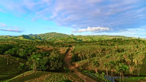 A country road through a tree-lined mountain valley. Video stock 336092219