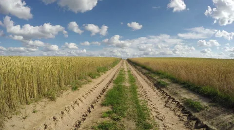 Country road through wheat fields, time lapse 4K Stock Footage 65452613