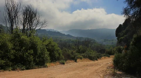Country road time lapse Video stock 6532457