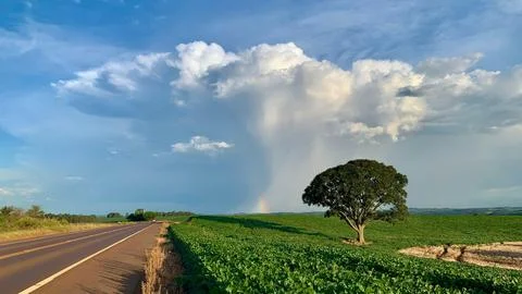 Country Road Under Dramatic Clouds Stock Photos