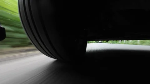 Country Road Under Tree Canopy Stock-Footage 320255339
