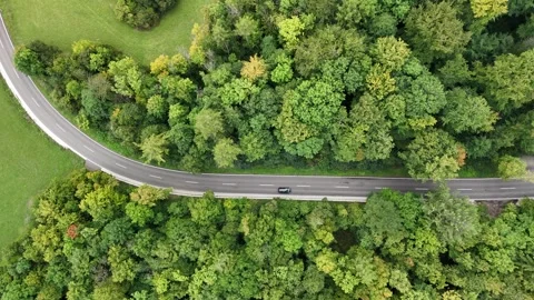 A country road winds through forests photographed with a drone Video stock 327983103