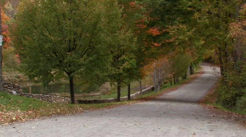 Country roads in the fall Vídeo Stock 270619